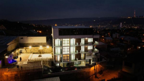 Panorama David Apart Hotel
